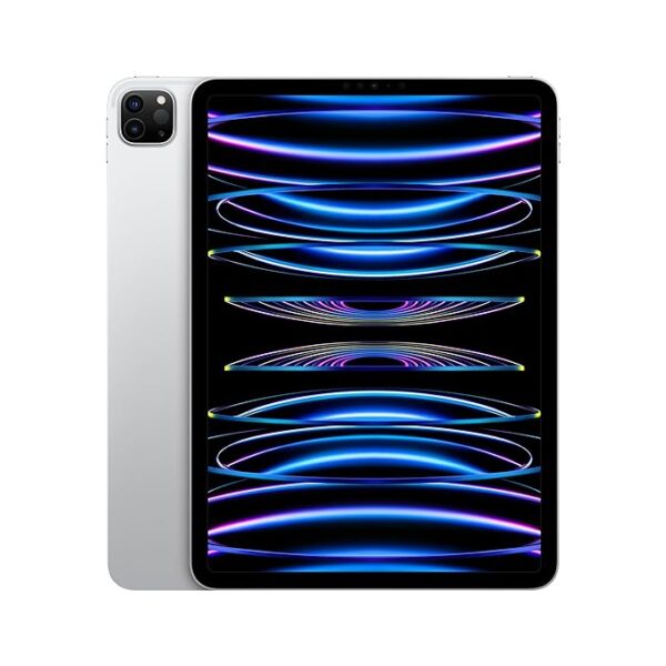 APPLE IPAD PRO 12.9 M2 128 5G